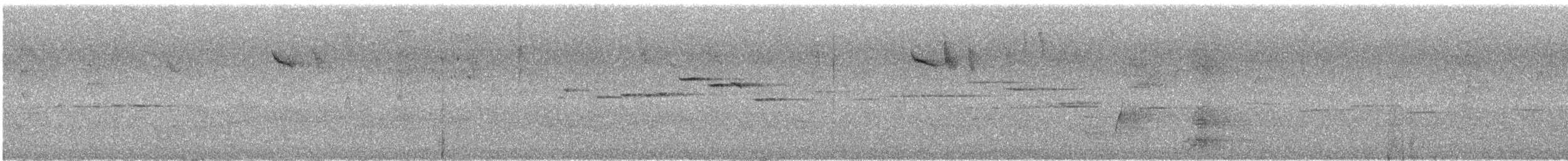 Віялохвістка сиза (підвид preissi) - ML646173555