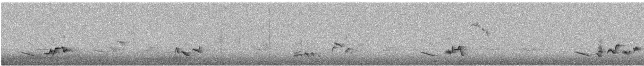 Золотокіс садовий - ML646173585