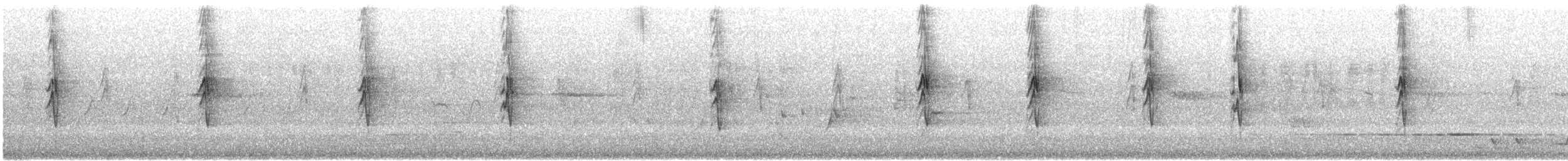 Медник смугастоволий - ML646173657