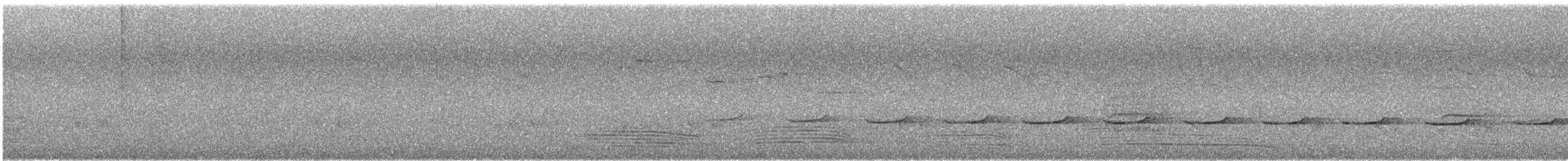 bronsegjøk (plagosus) - ML646173851