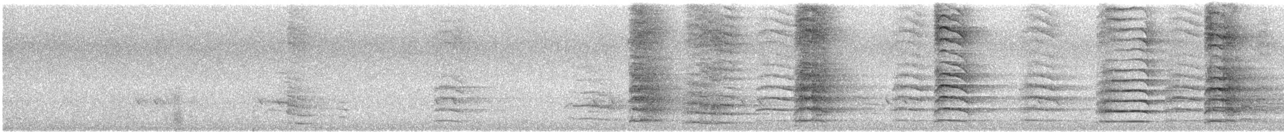 Red-tailed Black-Cockatoo - ML646173864