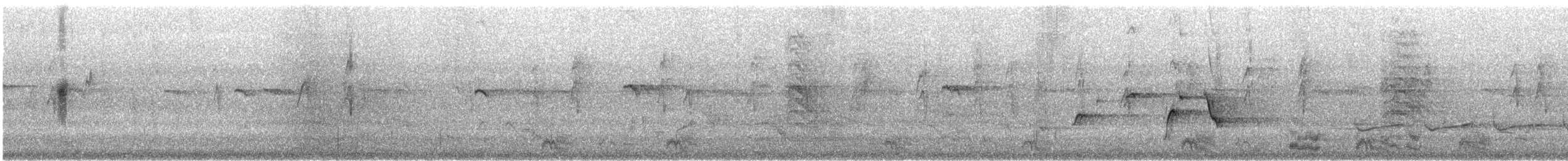 Elegant Parrot - ML646173899