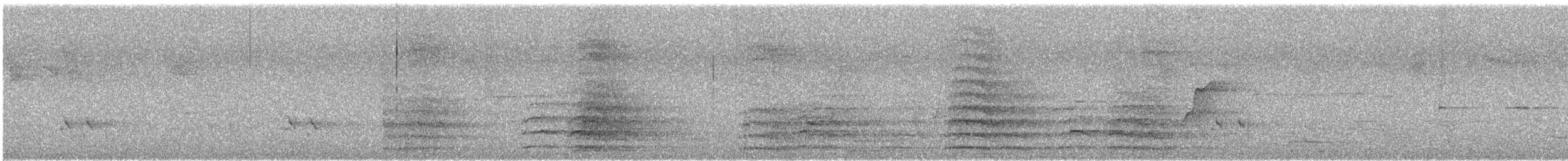 Red-tailed Black-Cockatoo - ML646173918