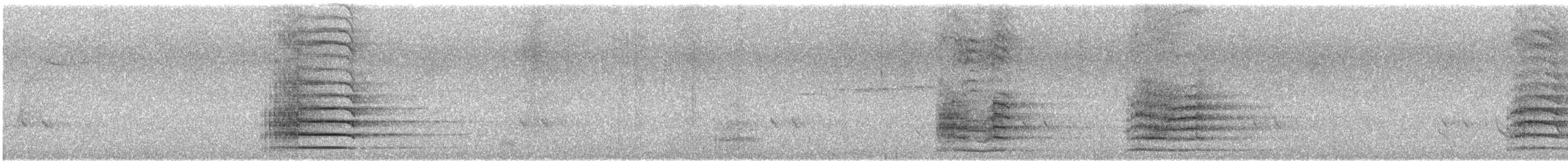 Red-tailed Black-Cockatoo - ML646173949