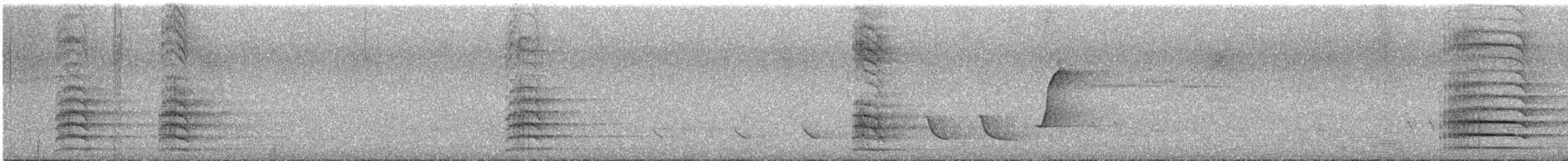 Red-tailed Black-Cockatoo - ML646173969