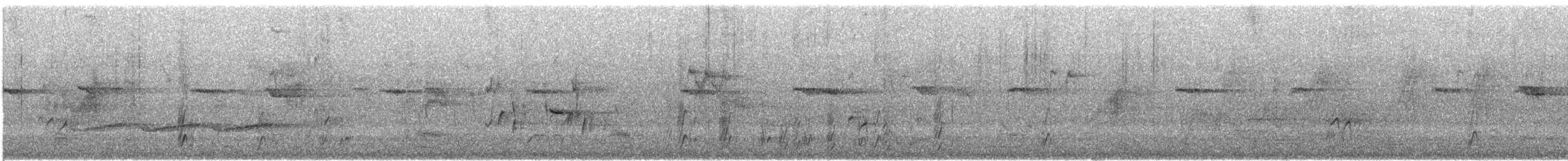 White-browed Babbler - ML646174172