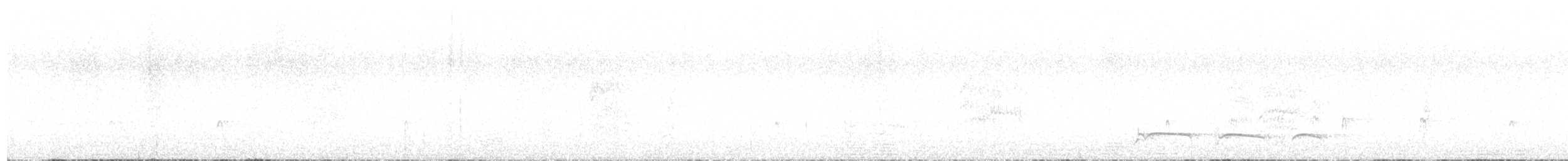 lenivka tečkovaná - ML646174326