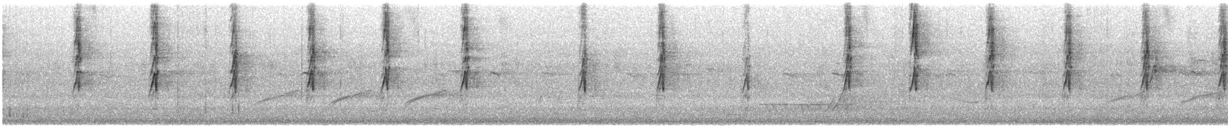 Кольчатый медосос - ML646174384