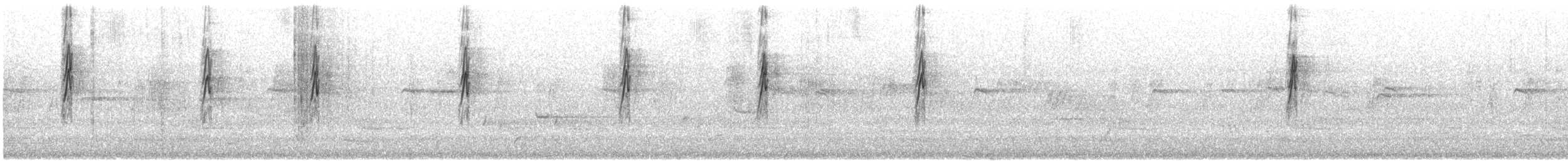 Кольчатый медосос - ML646174425