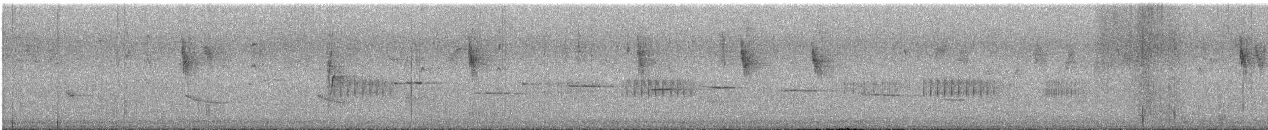 Western Spinebill - ML646174500