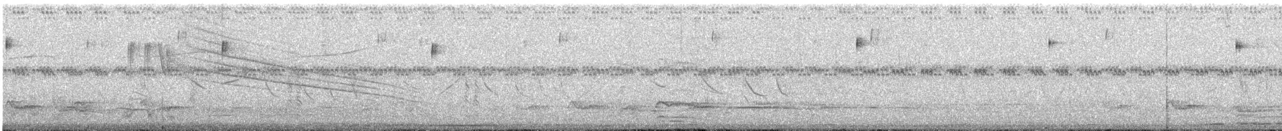 Yellowish Pipit - ML646174544