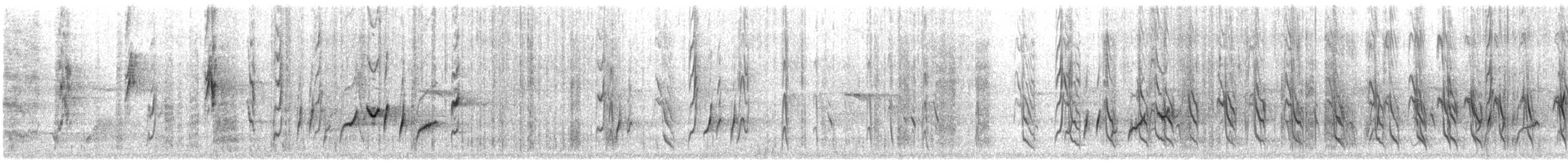 Кольчатый медосос - ML646174601