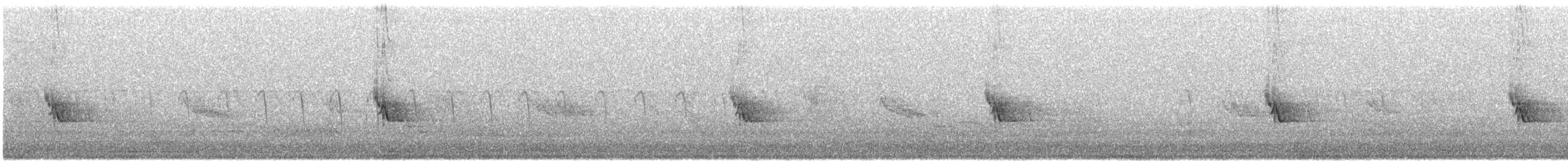 vrabec kapský - ML646174789