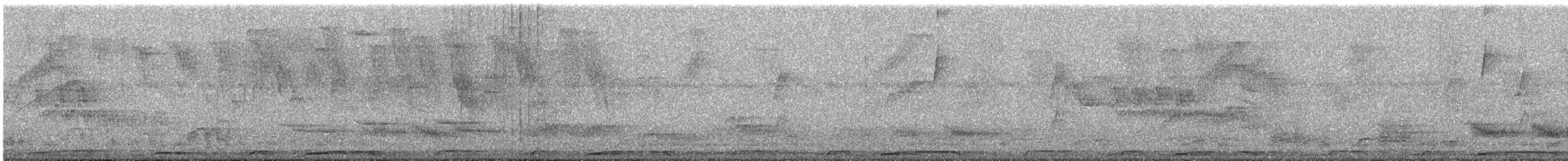 Picazurotaube - ML646175142