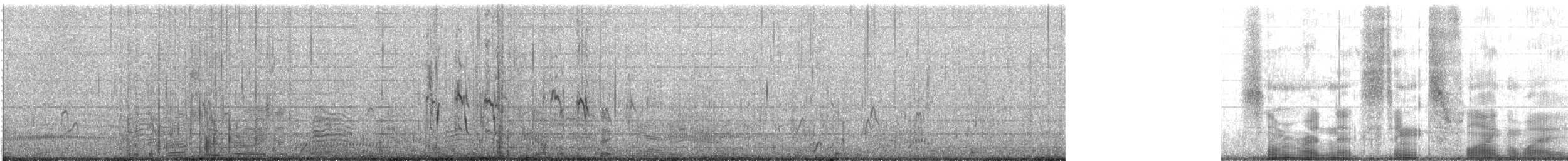 rødstrupesnipe - ML646175203