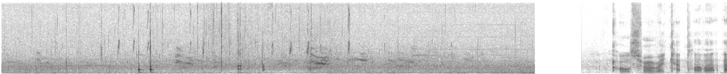 rødhettelo - ML646175206