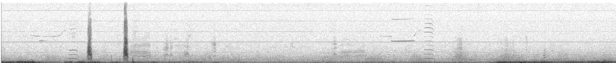 Sterna maggiore - ML646175223