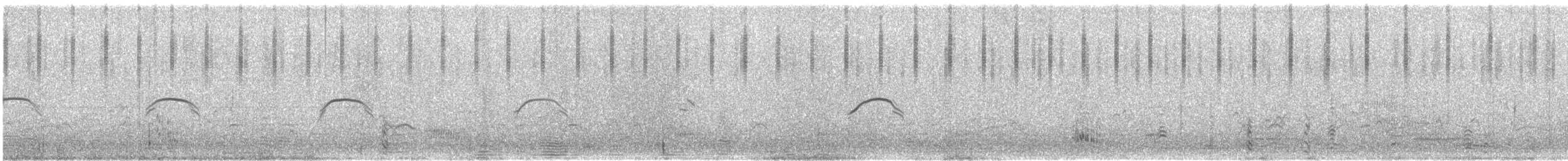 Banded Stilt - ML646175228