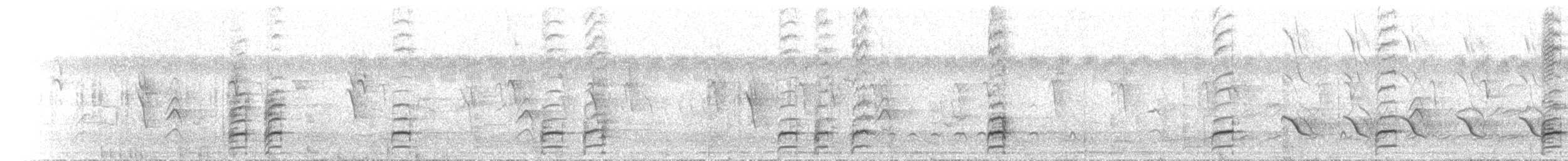 Australian Ringneck - ML646175387