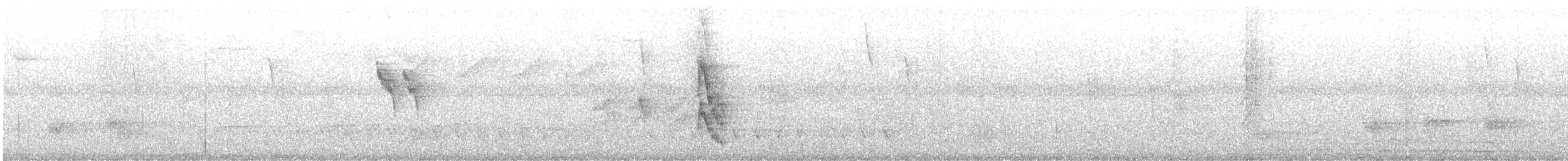 シロクロマイコドリ - ML646175704