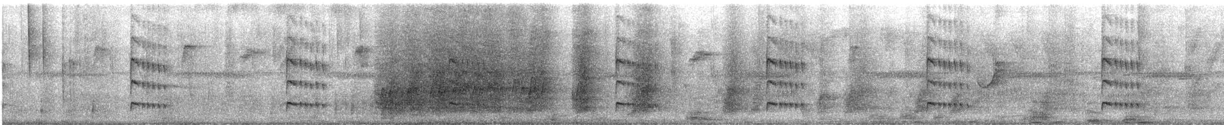 ルビーハチドリ - ML646175723