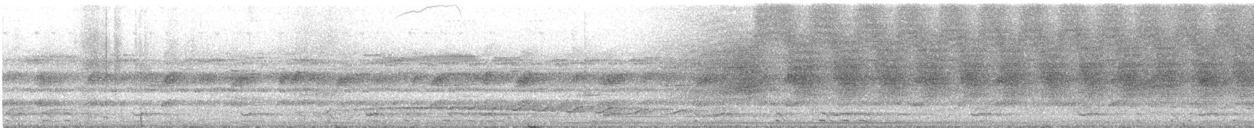 Cryptic Forest-Falcon - ML646176236