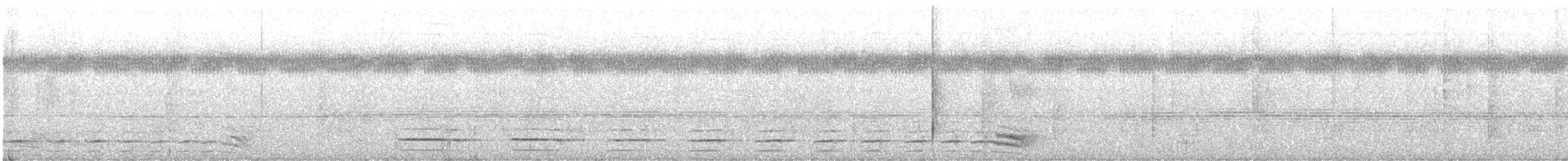 Batara à ailes unies - ML646176382