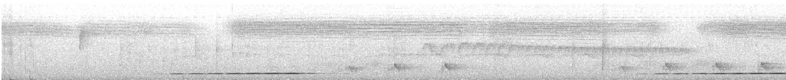 Grallaire grisâtre - ML646176394