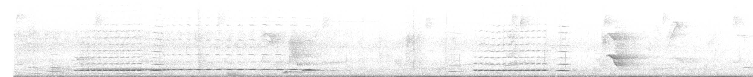 Troglodyte rufalbin - ML646176548