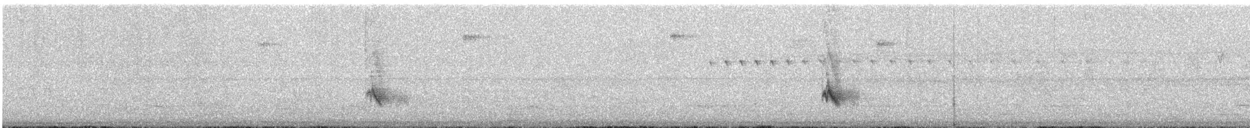 oiseau sp. - ML646176917