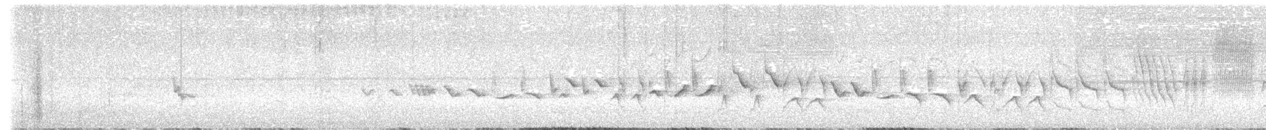 Chestnut-bellied Seed-Finch - ML646177256