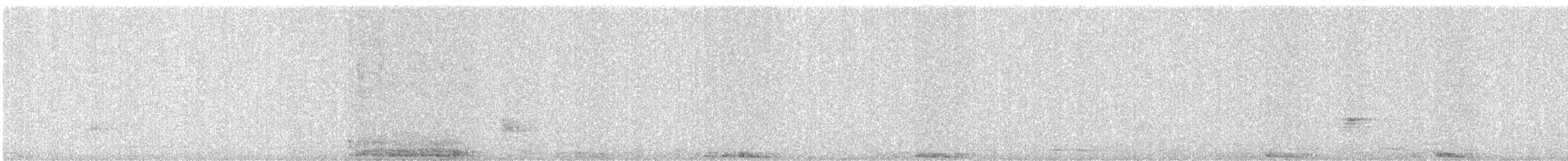 カワラバト（ドバト、家畜型） - ML646177259