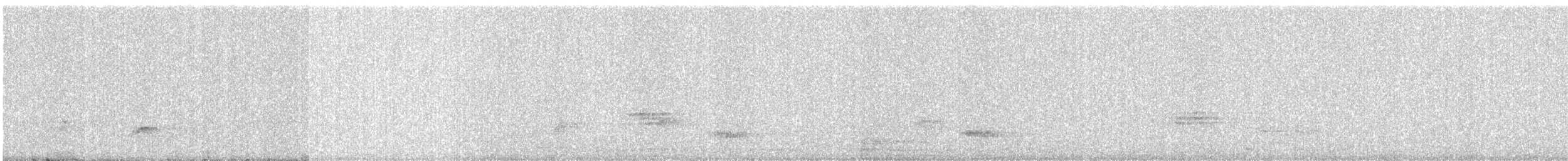 カワラバト（ドバト、家畜型） - ML646177263