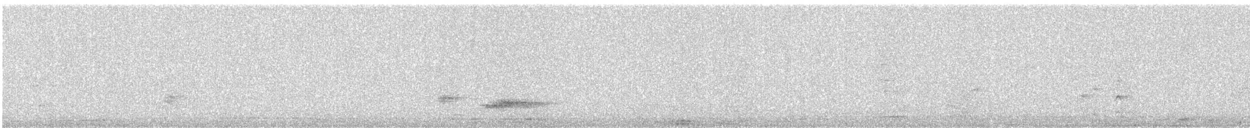 カワラバト（ドバト、家畜型） - ML646177270