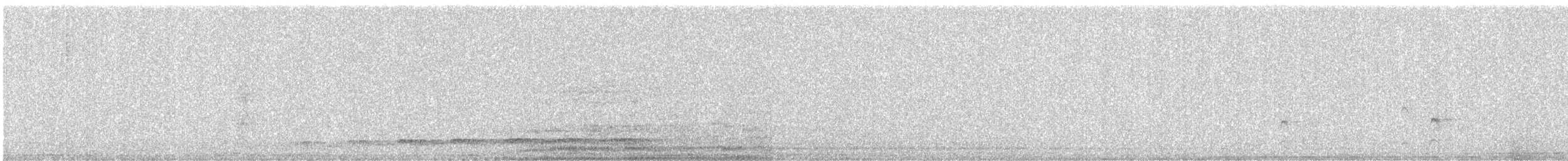 Shikra - ML646177297