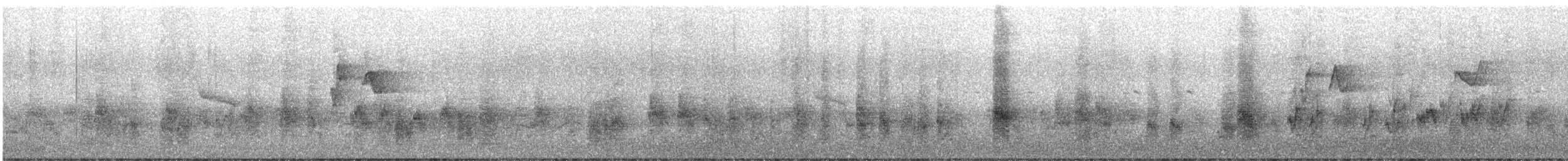 Hartert's Leaf Warbler - ML646177342