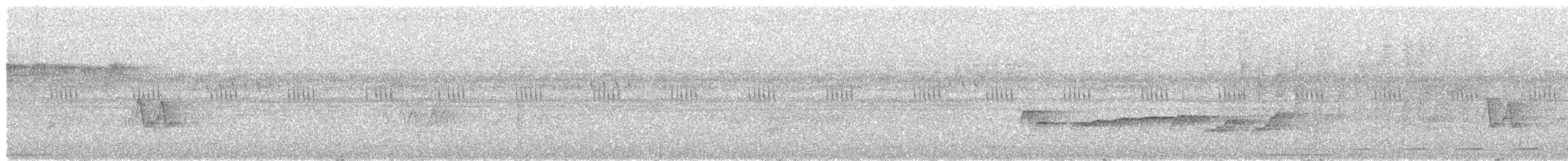 Spotted Bamboowren - ML646177681