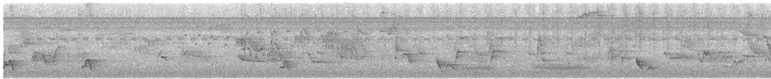 Swallow-tailed Manakin - ML646177696
