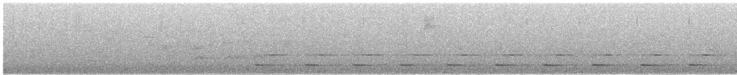 Bare-throated Bellbird - ML646177747