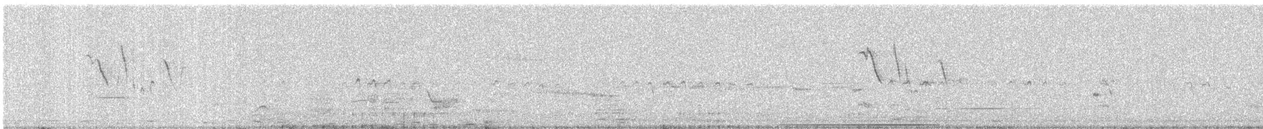 Wood Sandpiper - ML646177755