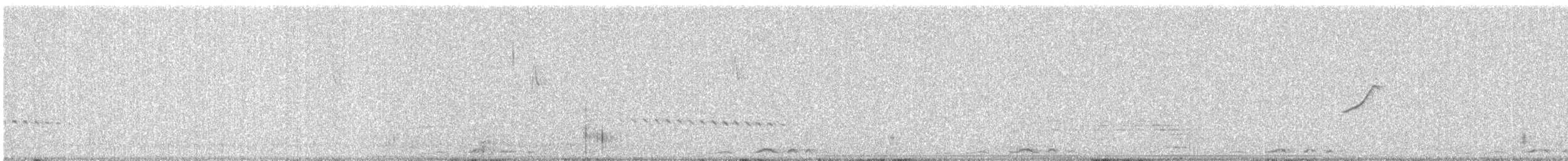 Indian Robin - ML646177797