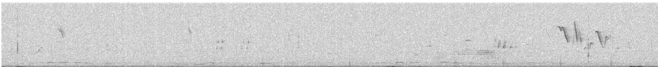 Indian Robin - ML646177803