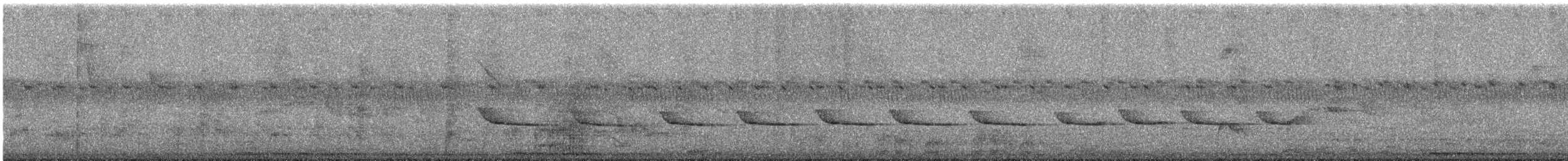 Greenish Schiffornis - ML646177839