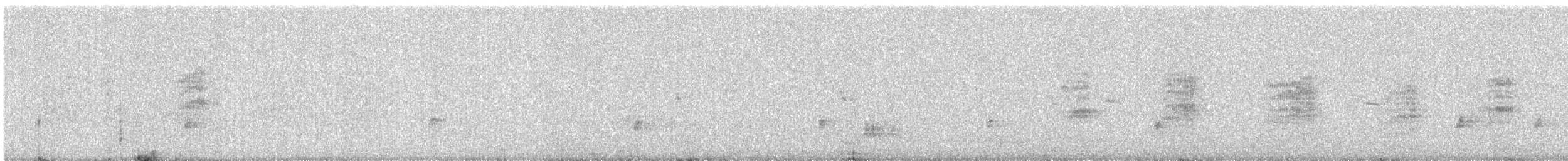 Alcaudón Schach - ML646177870