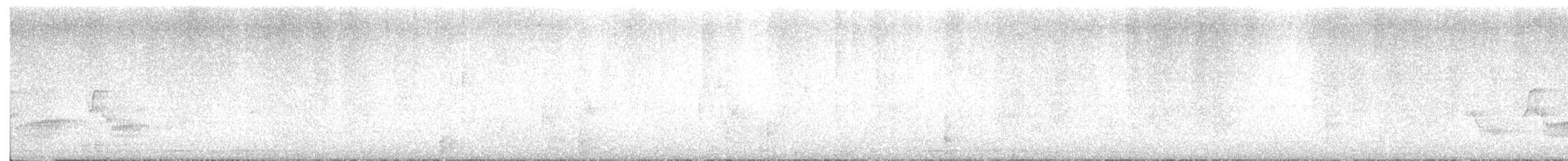 Spotted Dove - ML646177988