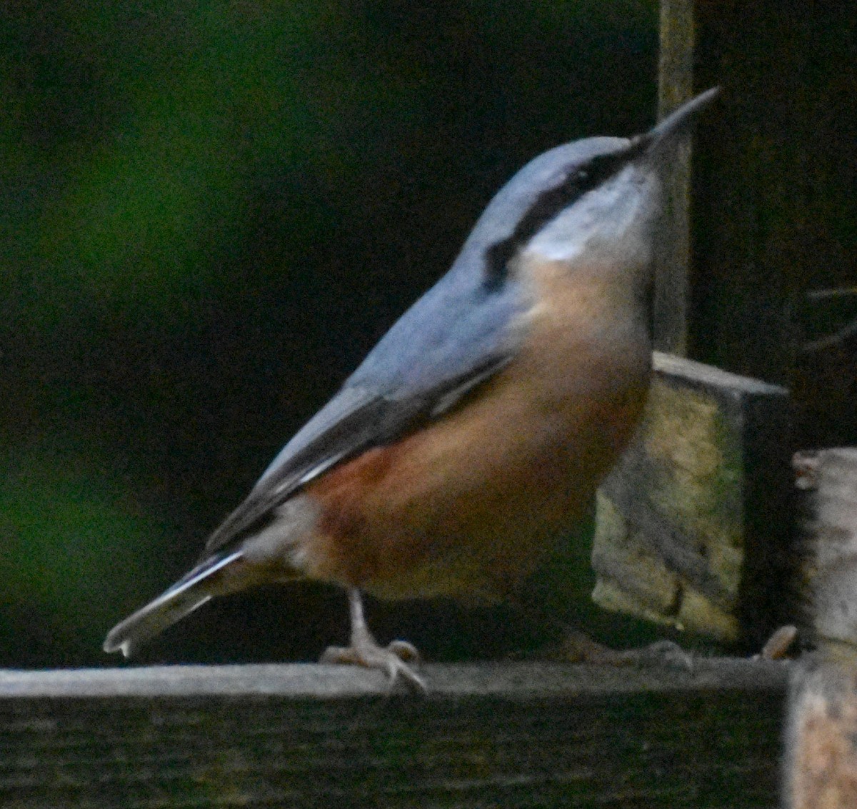 סיטה אירופית - ML646178066
