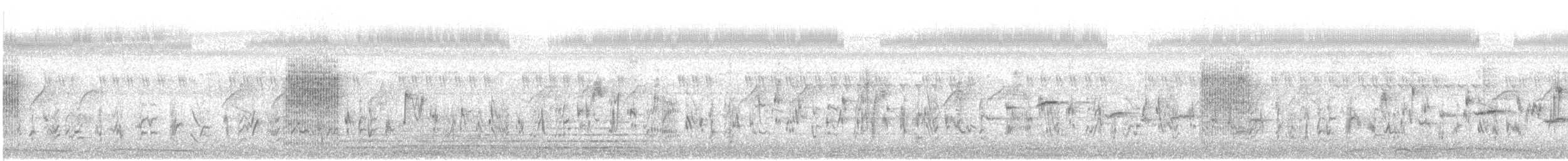 布氏葦鶯 - ML646178488