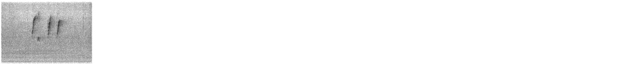 Nilgiri Pipit - ML646179142