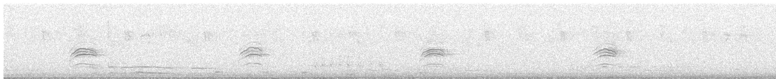 Hermit Thrush - ML646179269