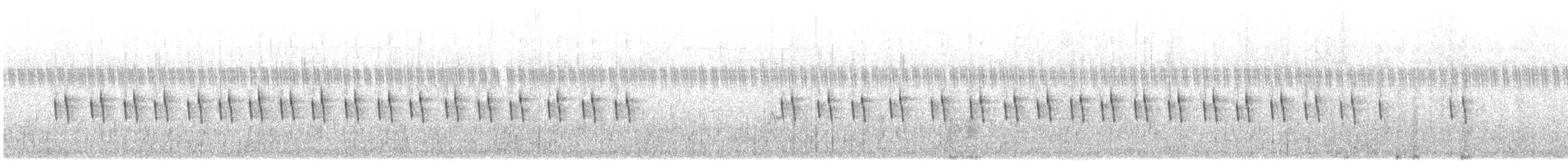 Plain Prinia - ML646179275